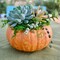 Succulent Pumpkin Workshop | Floral Arrangement